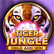 Hiểu về RTP và độ biến động của slot game